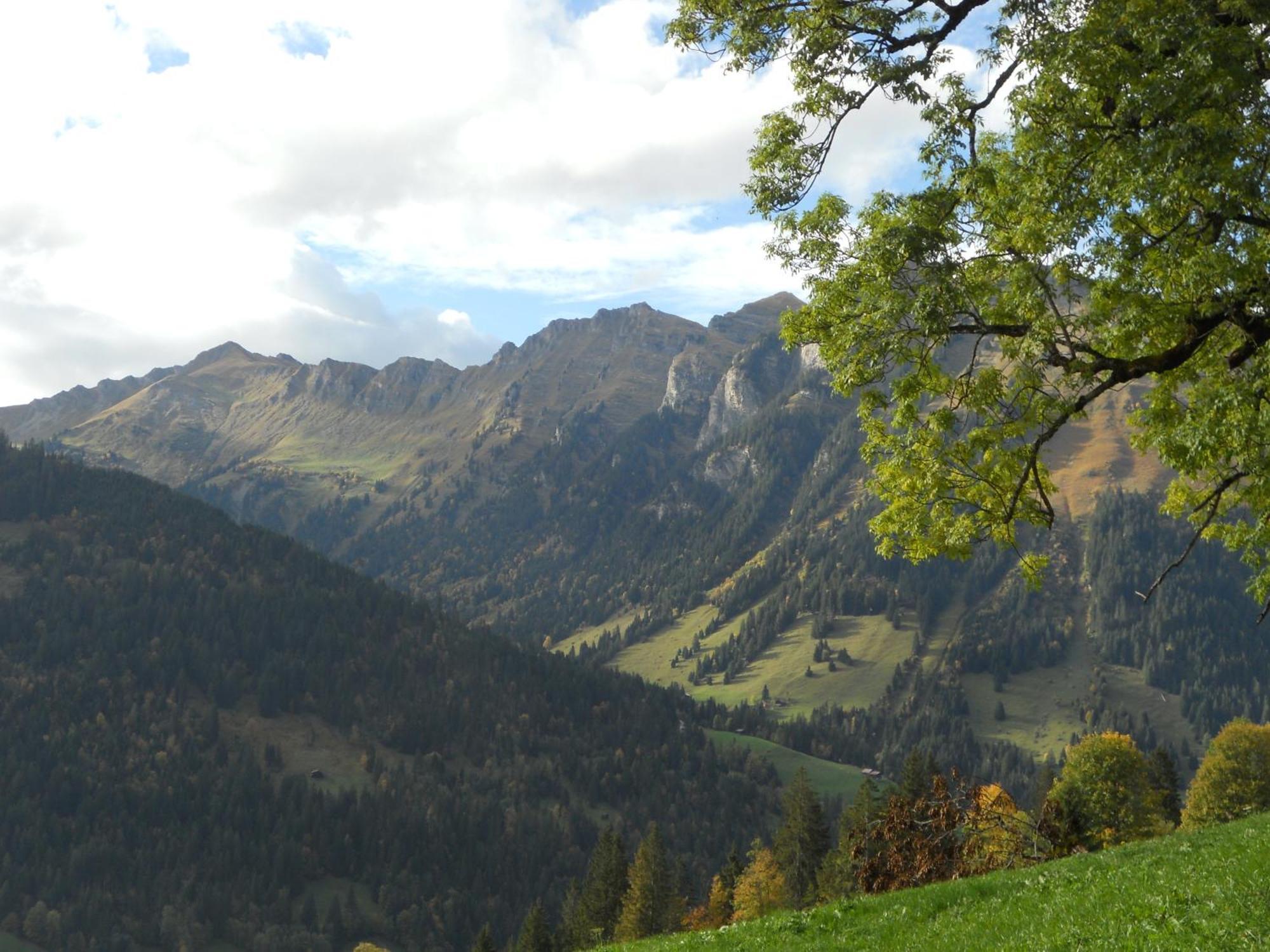 Bauernhaus Gschwend Gsteig Dış mekan fotoğraf