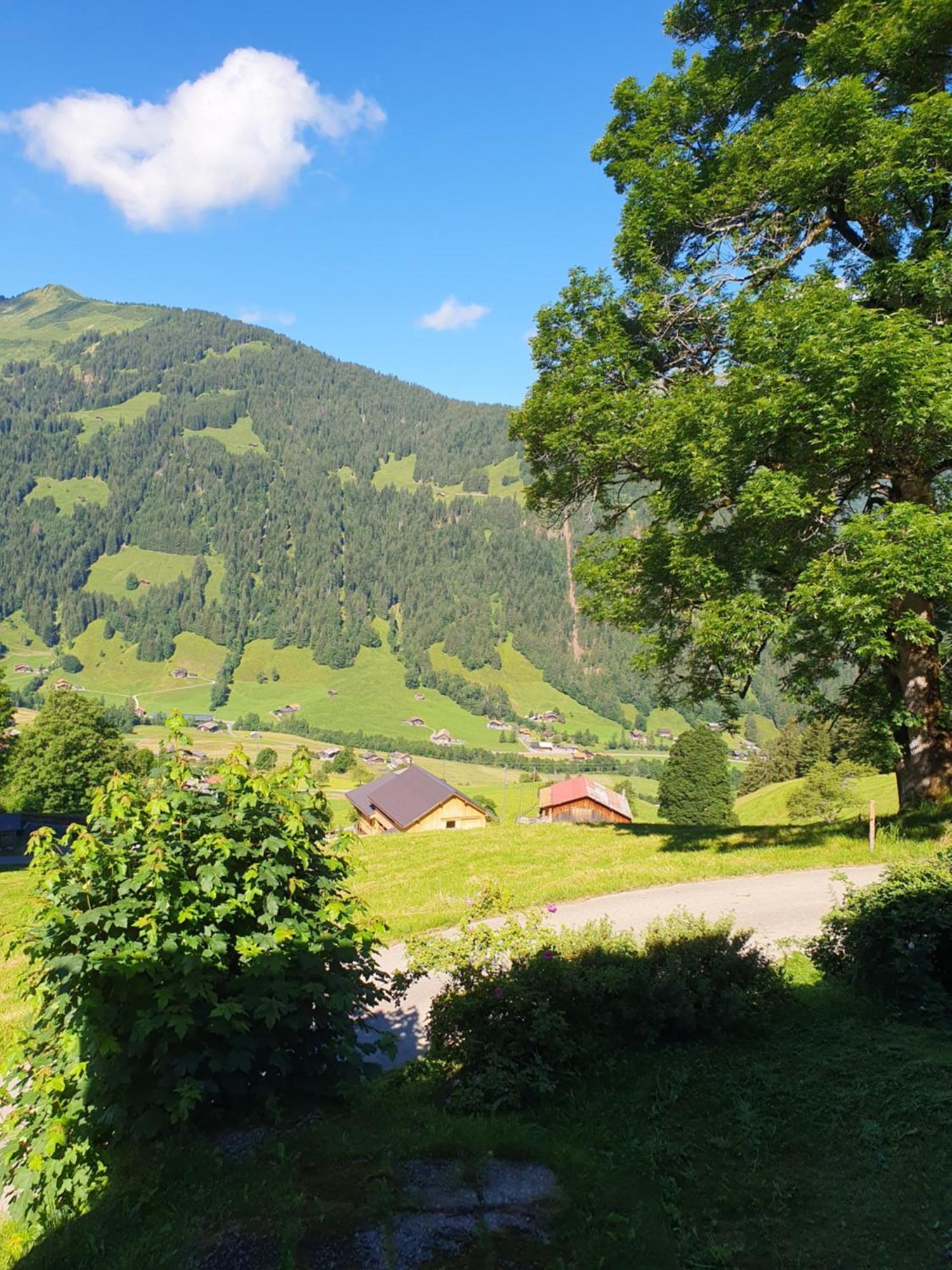 Bauernhaus Gschwend Gsteig Dış mekan fotoğraf
