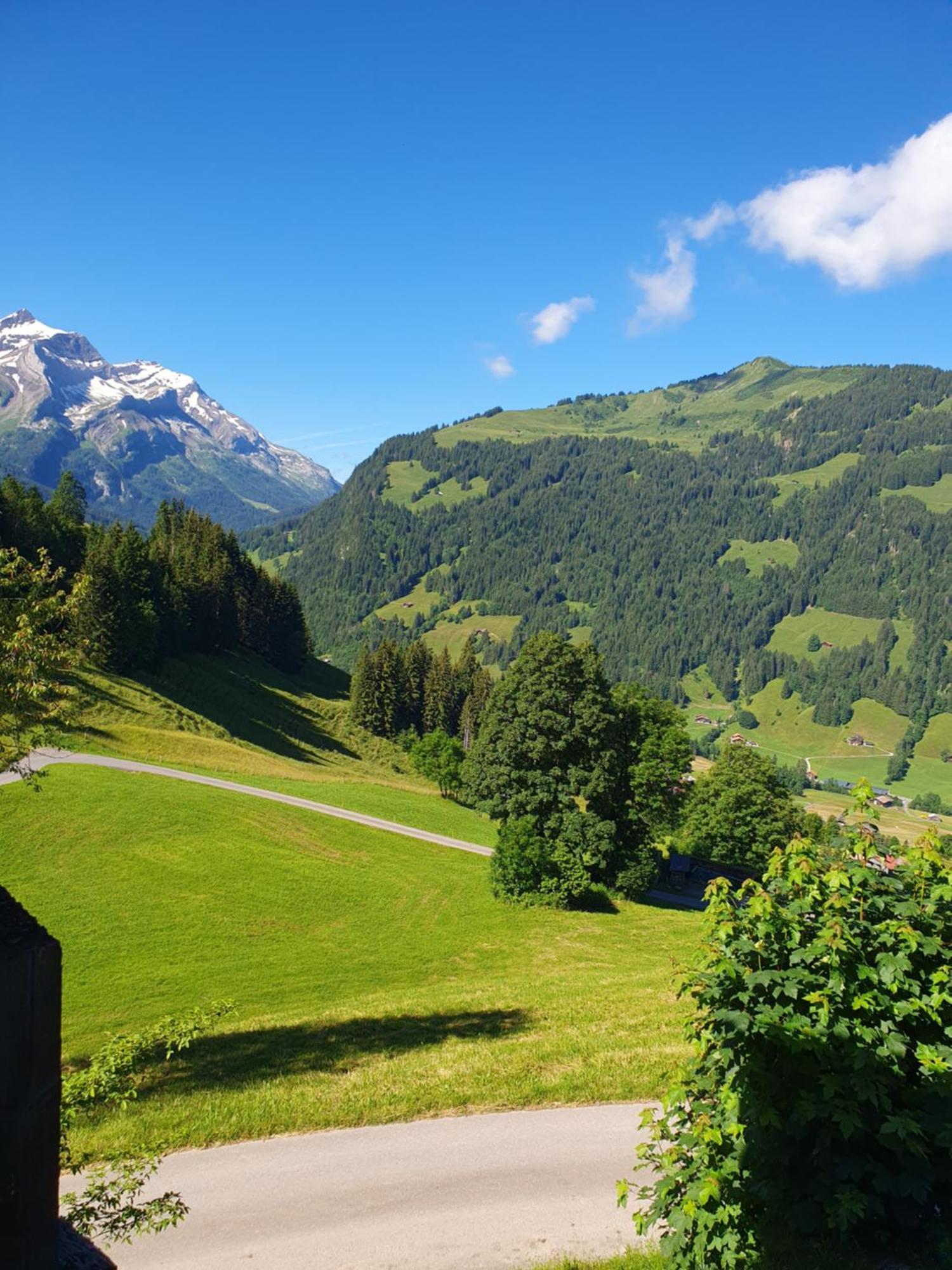 Bauernhaus Gschwend Gsteig Dış mekan fotoğraf